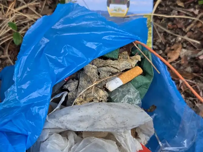 Offener blauer Abfallsack voll eingesammeltem Abfall: obenauf ein Zigarettenstummel, darunter verschmutzte Papier- und Plastikreste